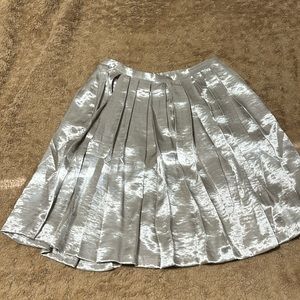 Pleated Silver Skirt